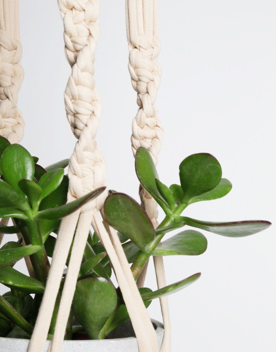 Suspension Pour Plantes Jungle Love