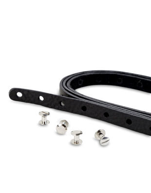 Leather Strap and Screws