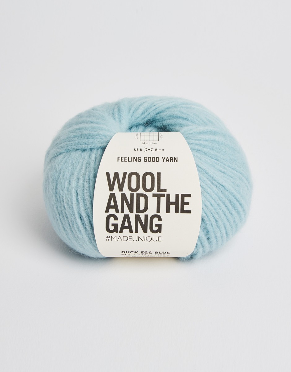 Feeling Good Yarn Duck Egg Blue