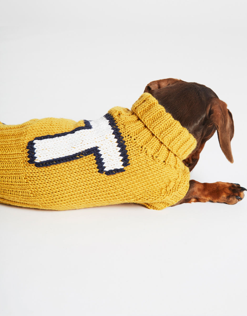 Pull Dog Days