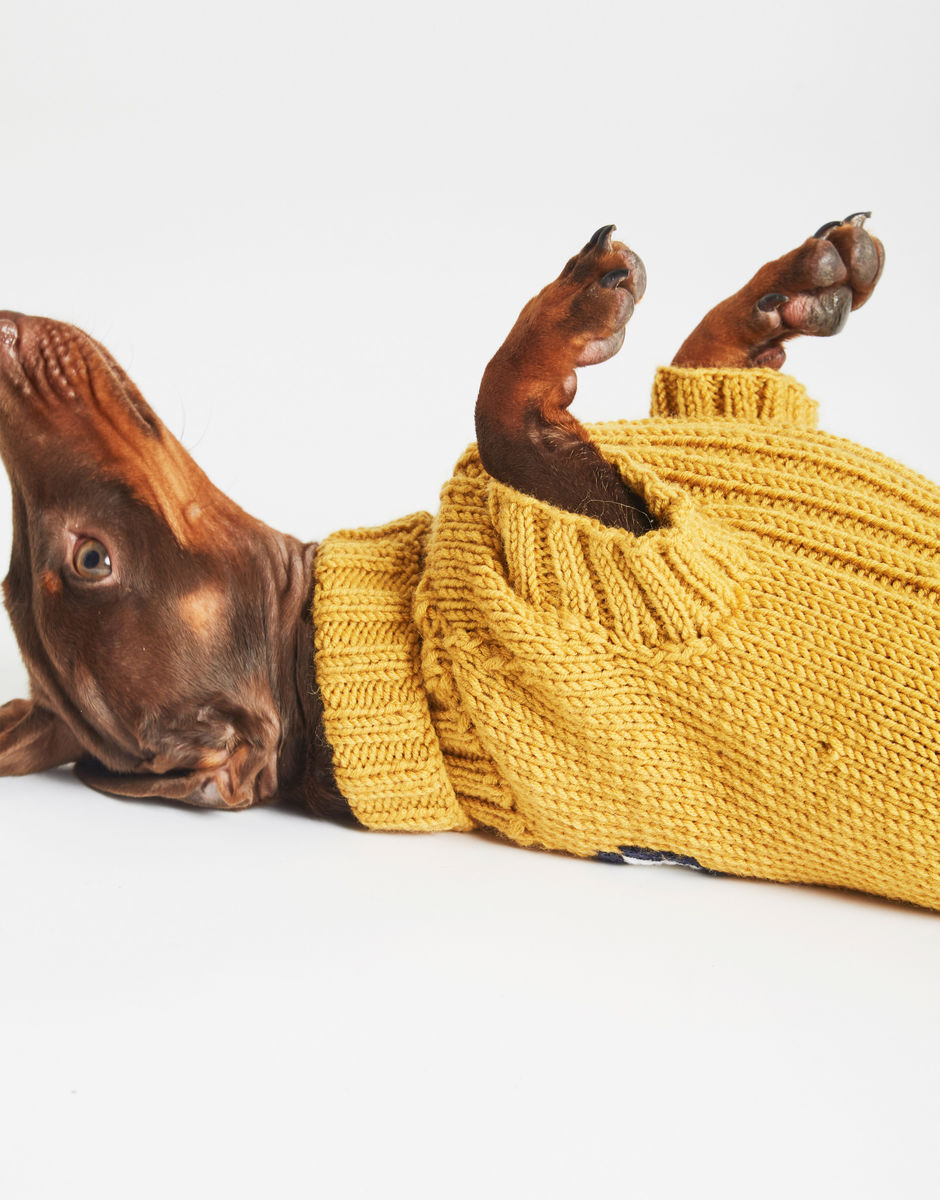 Pull Dog Days