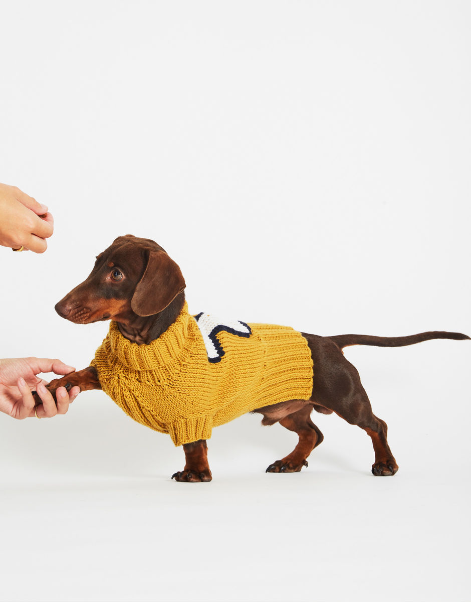 Pull Dog Days