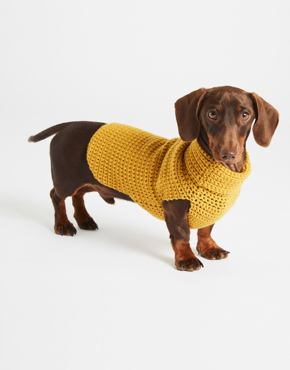 Diamond Dog Coat