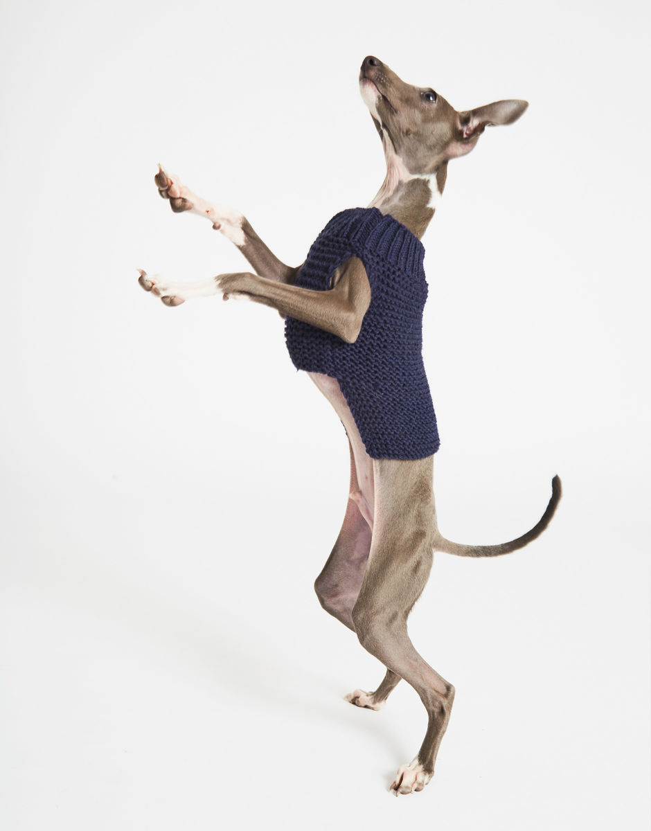 Dog's Life Coat