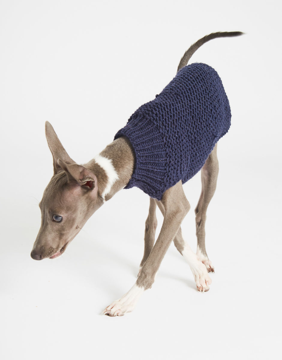 Dog's Life Coat