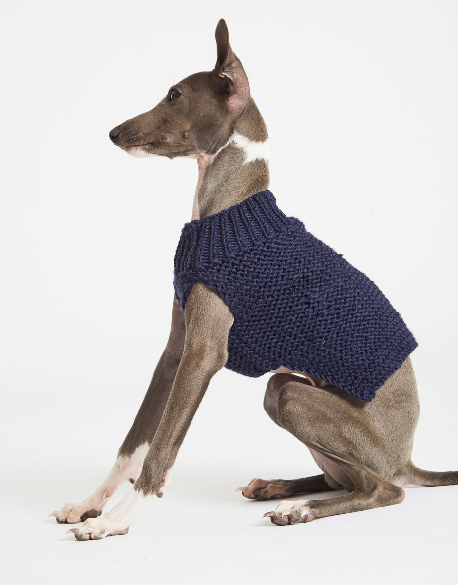 Dog's Life Coat Midnight Blue