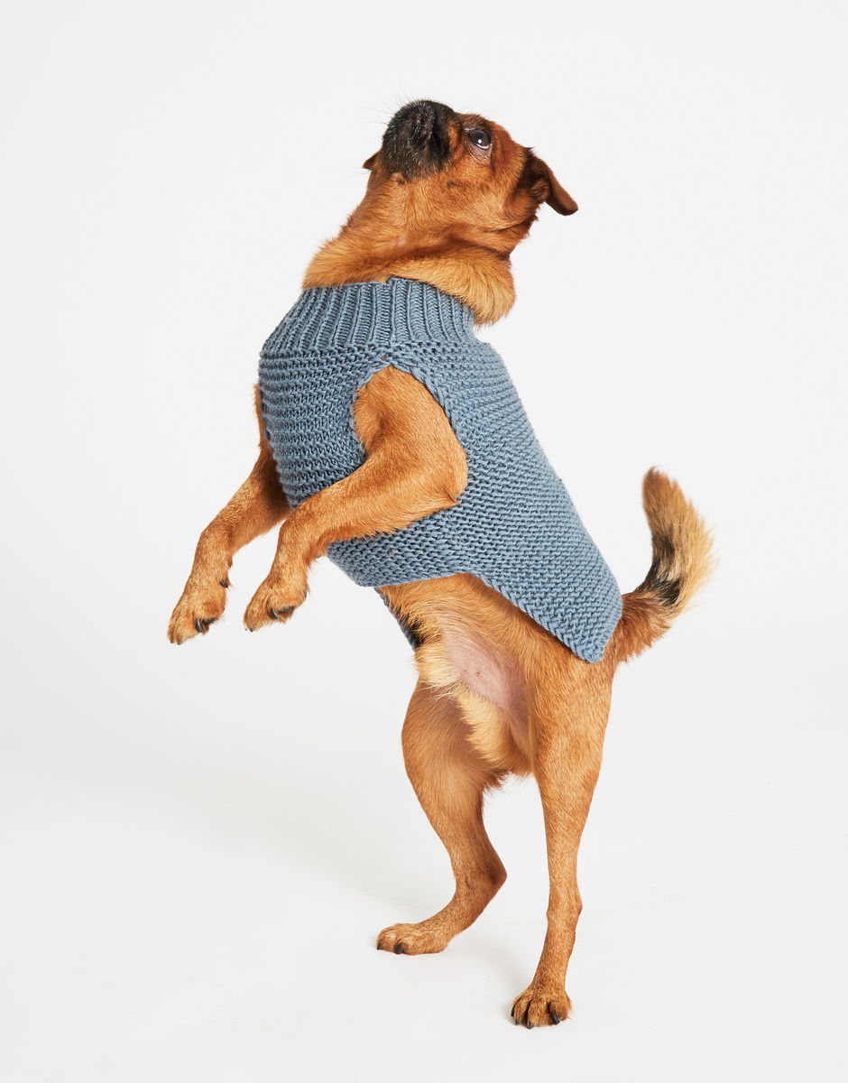 Dog's Life Coat