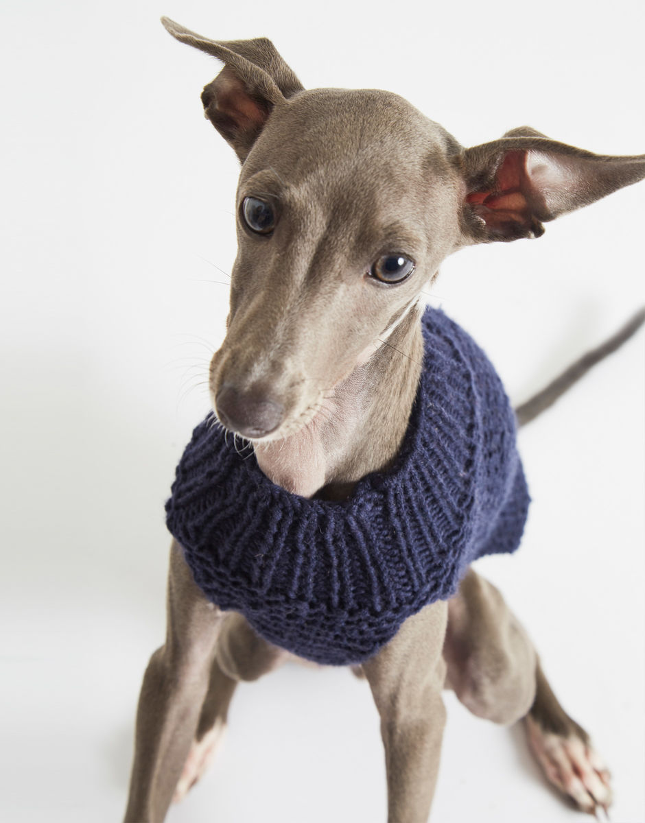 Dog's Life Coat