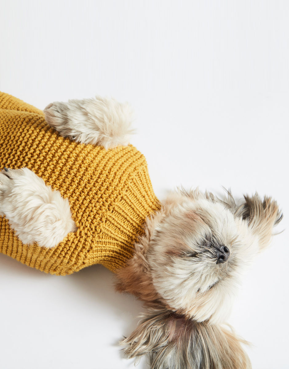 Dog's Life Coat