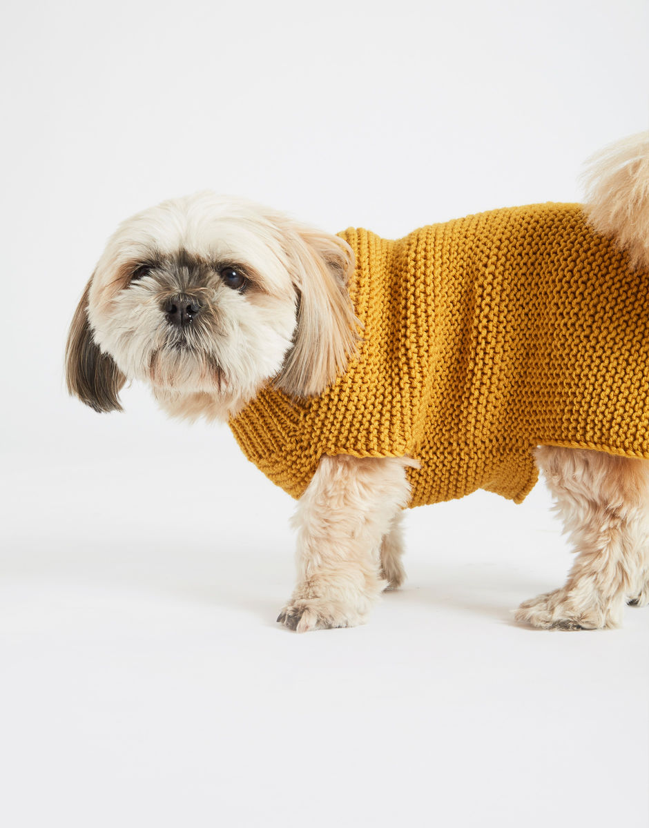 Dog's Life Coat