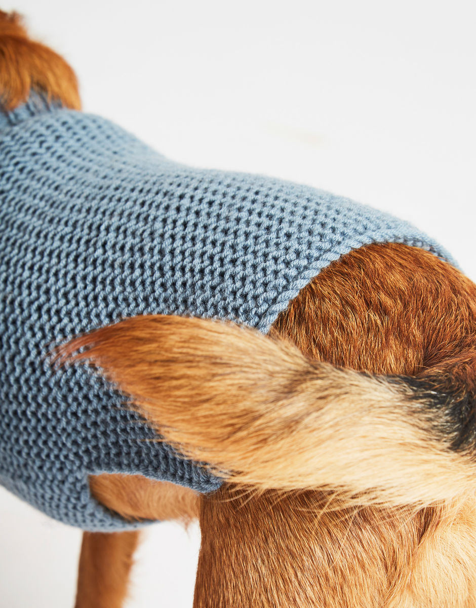 Dog's Life Coat