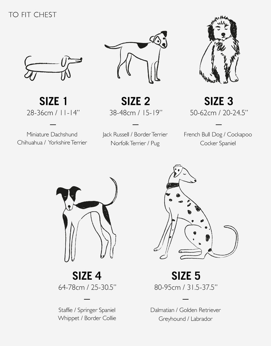 Dog's Life Coat
