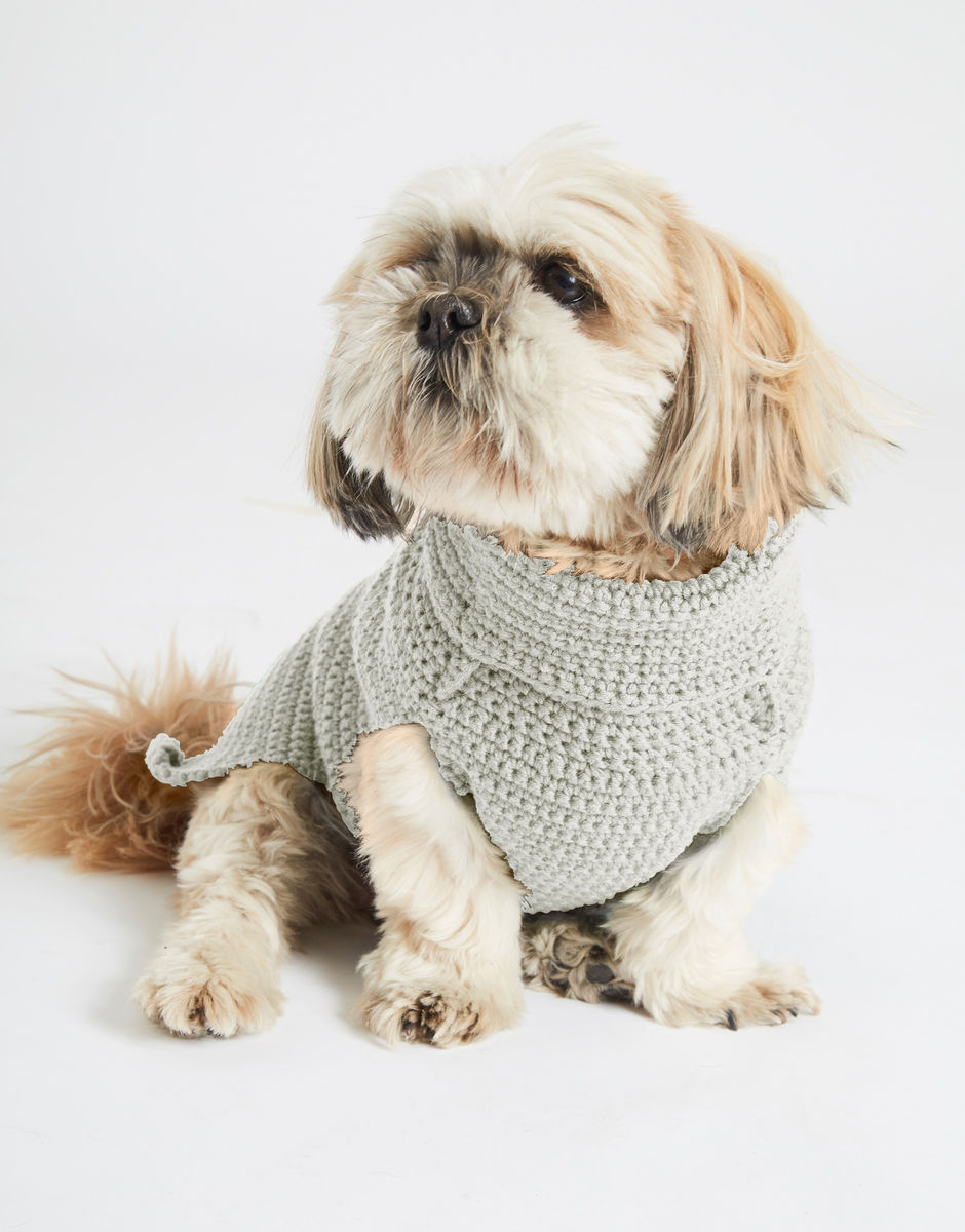 Diamond Dog Coat Ivory White