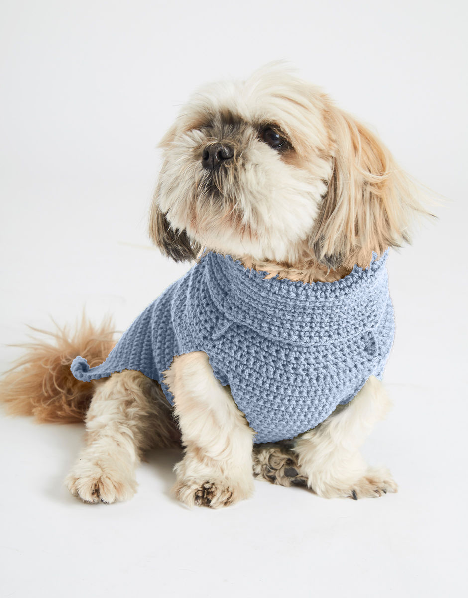 Diamond Dog Coat Powder Blue