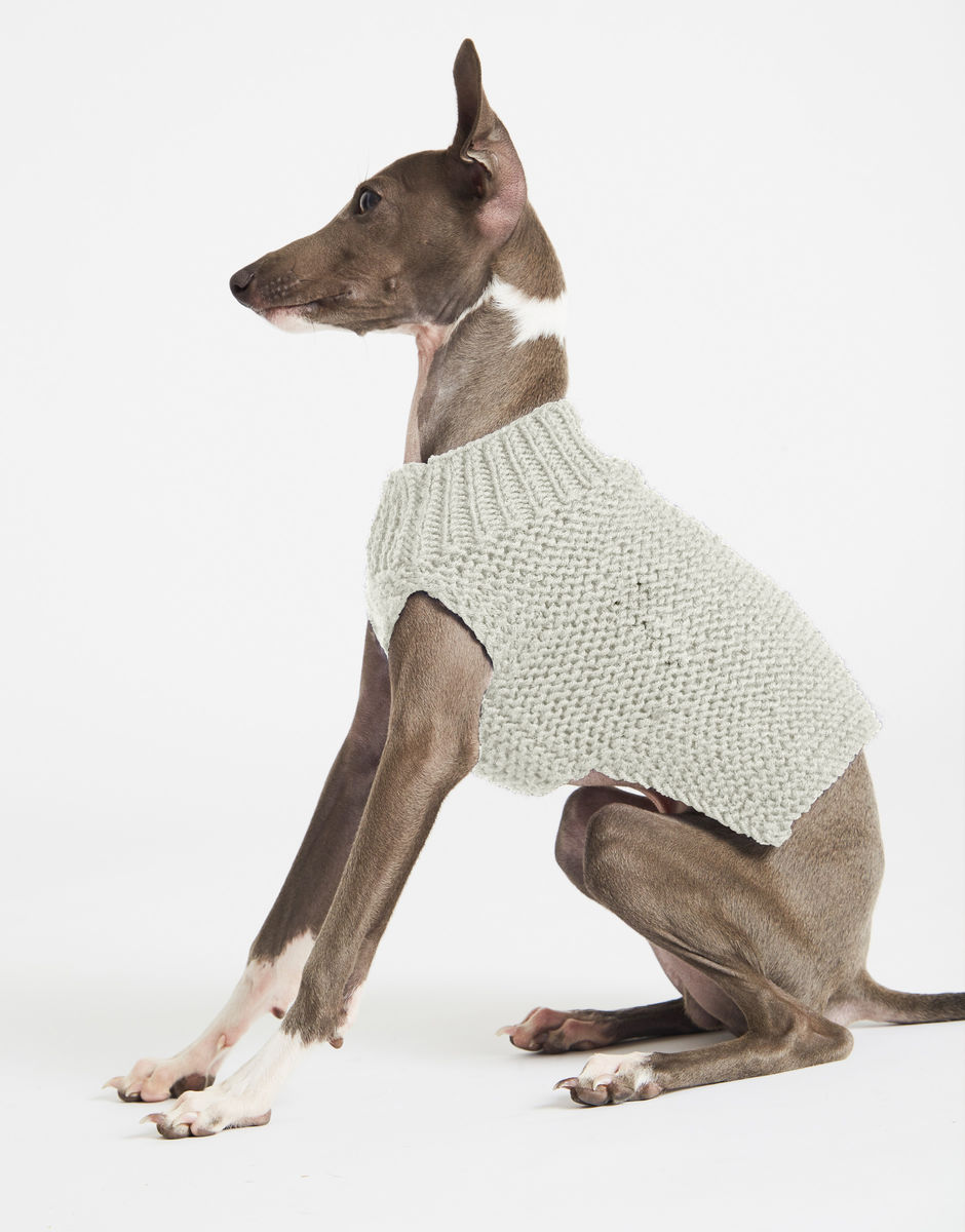 Dog's Life Coat Ivory White