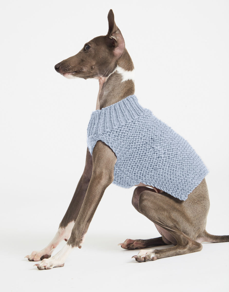 Dog's Life Coat Powder Blue