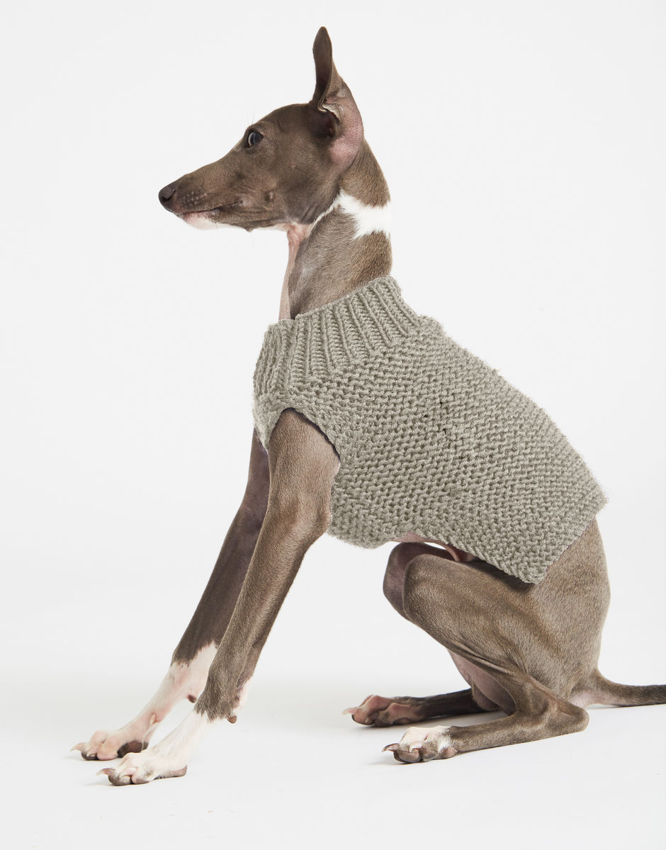 Dog's Life Coat Moondust Grey