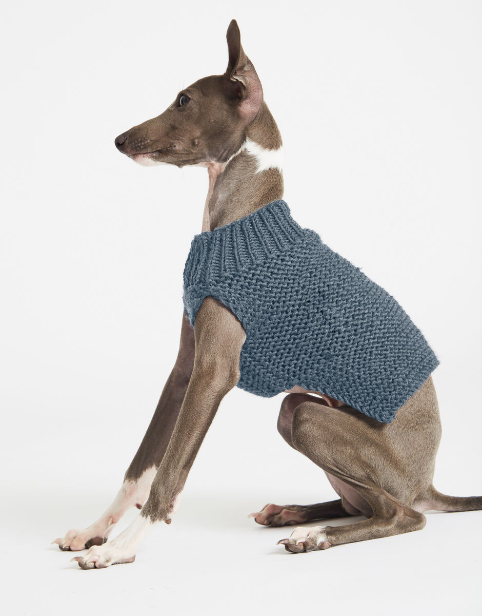 Dog's Life Coat Slate Blue