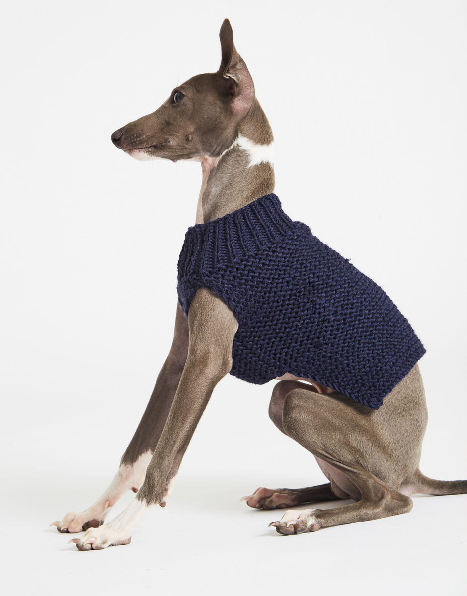 Dog's Life Coat Midnight Blue