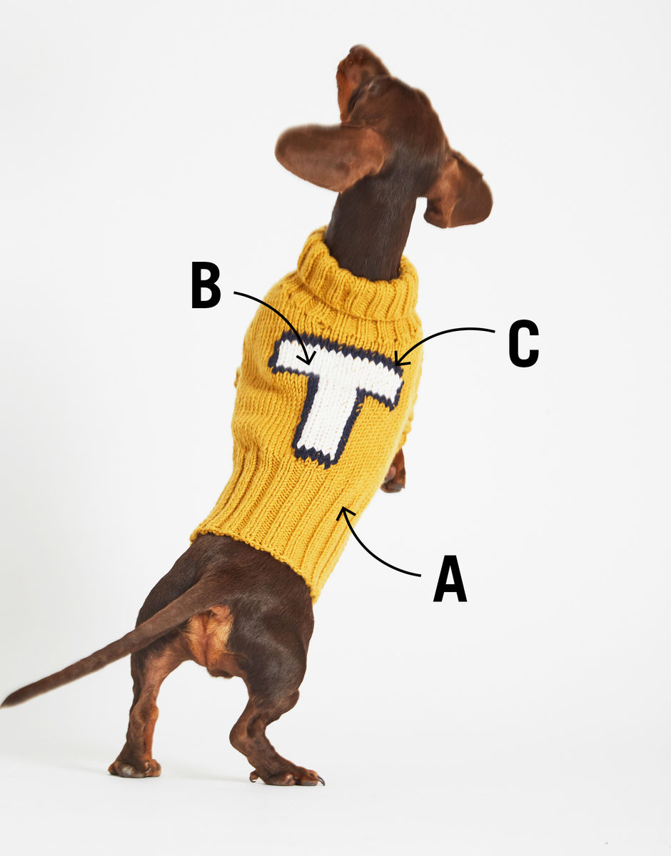 Pull Dog Days