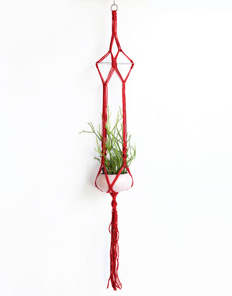 Jungle Love Plant Hanger Lipstick Red