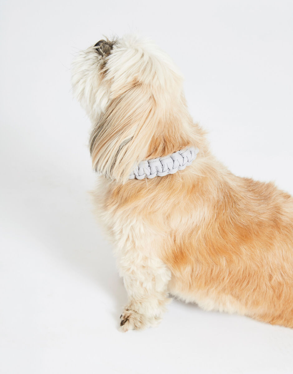 Howl Collar Pattern