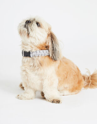 Howl Collar Pattern
