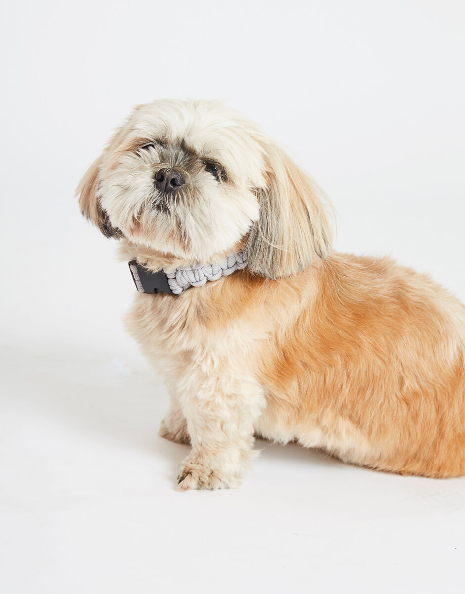 Howl Collar Pattern