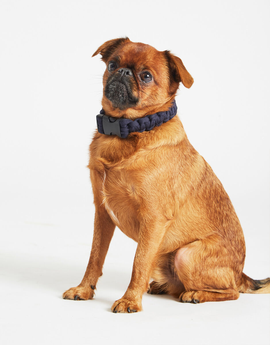 Howl Collar Pattern