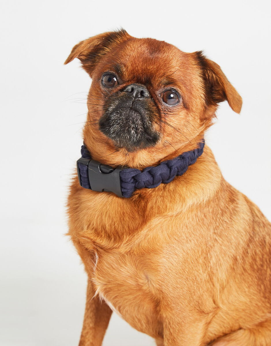 Howl Collar Pattern