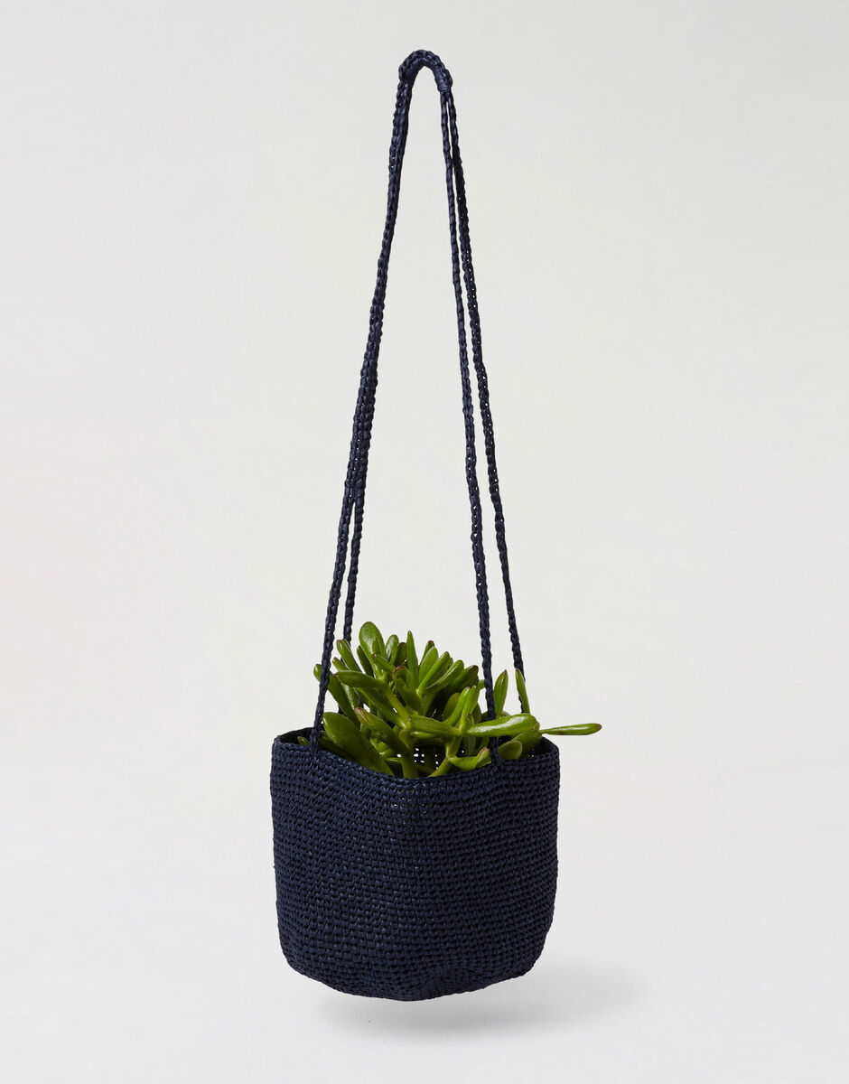 Cache-pot Harry