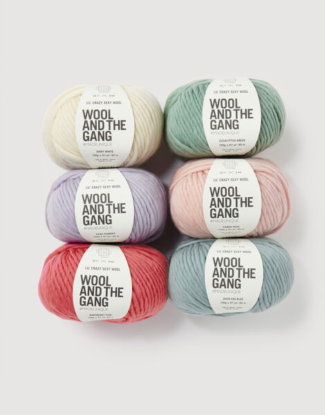 Lil' Crazy Sexy Wool - 6 pelotes
