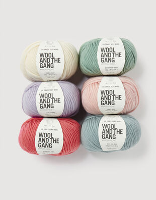 Lil' Crazy Sexy Wool Bundle - 6 balls