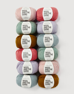 Lil' Crazy Sexy Wool Bundle - 12 balls