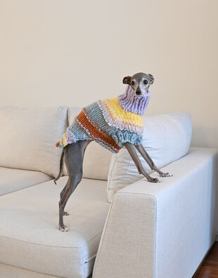 Zero to Hero Dog Coat Pattern