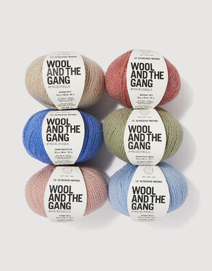 Lil' Alpachino Merino bundle - 6 balls